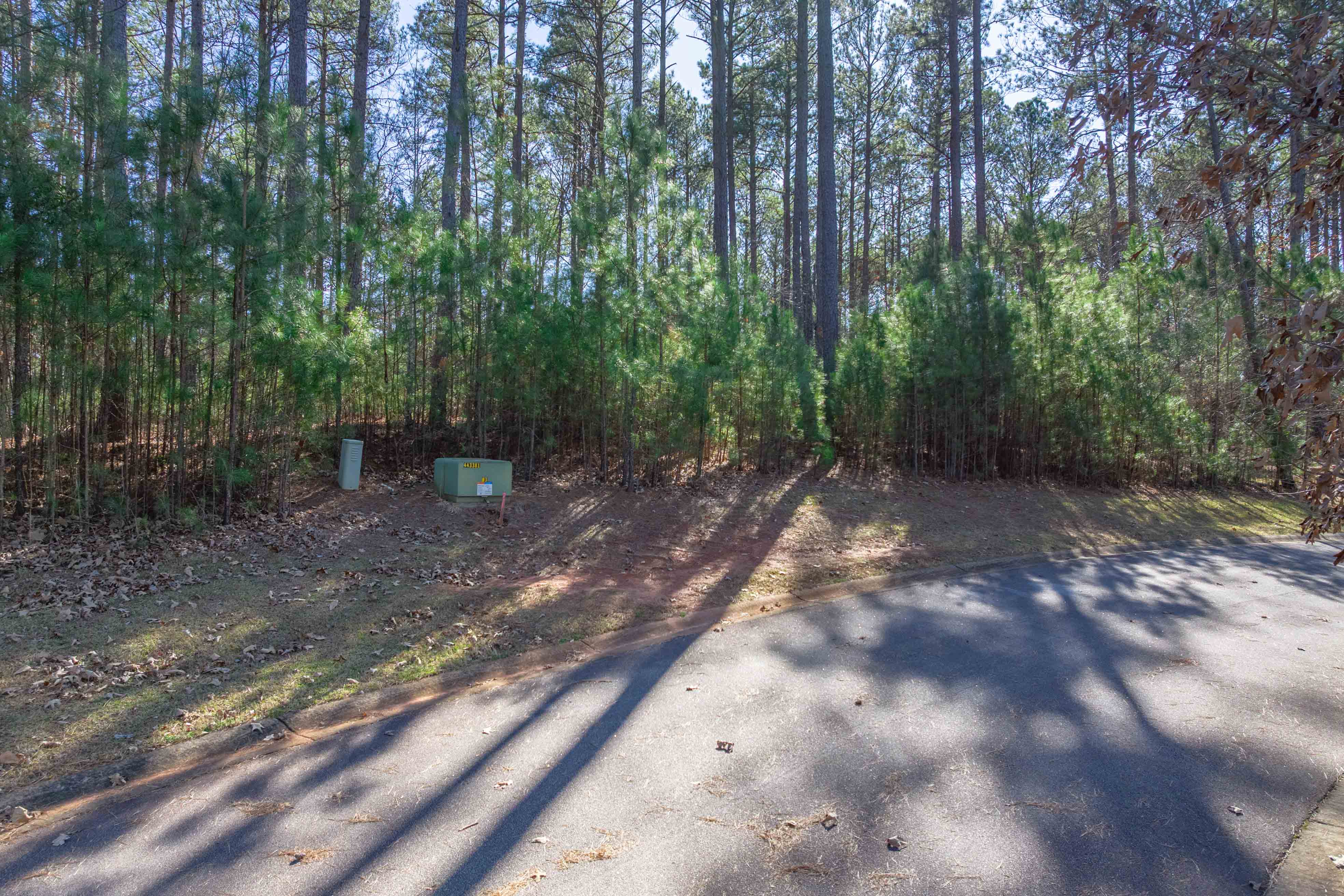 1030 Aker's Knoll image 5